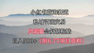 小红书短剧赛道，私域引流交易，会复制粘贴，日入500+（附6.7T短剧资源）-吾藏分享