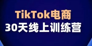 TikTok电商带货30天线上课，不可错过的全球流量洼地！-吾藏分享