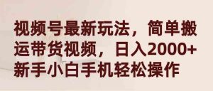 视频号最新玩法，简单搬运带货视频，日入2000+，新手小白手机轻松操作-吾藏分享