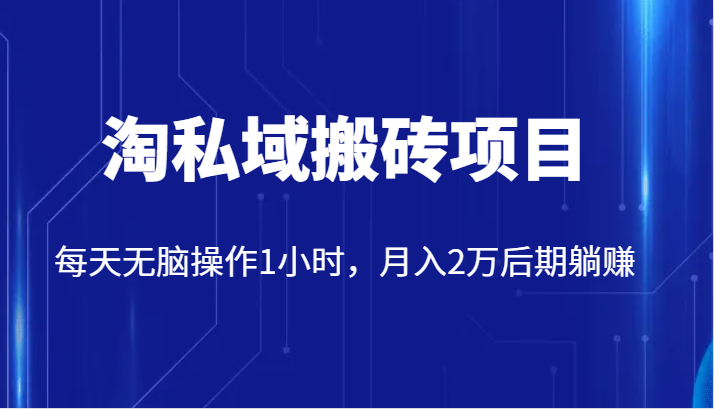 价值2980的淘私域搬砖项目，每天无脑操作1小时，月入2万后期躺赚-吾藏分享