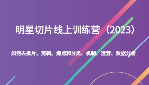 明星切片线上训练营（2023）如何去拆片、剪辑、爆点和分类、机制、运营、数据分析-吾藏分享