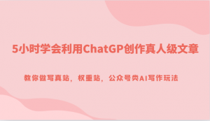 5小时学会利用ChatGP创作真人级文章，教你做写真站，权重站，公众号类AI写作玩法-吾藏分享