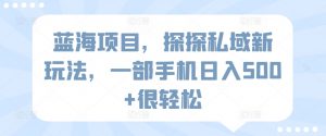 蓝海项目，探探私域新玩法，一部手机日入500+很轻松-吾藏分享