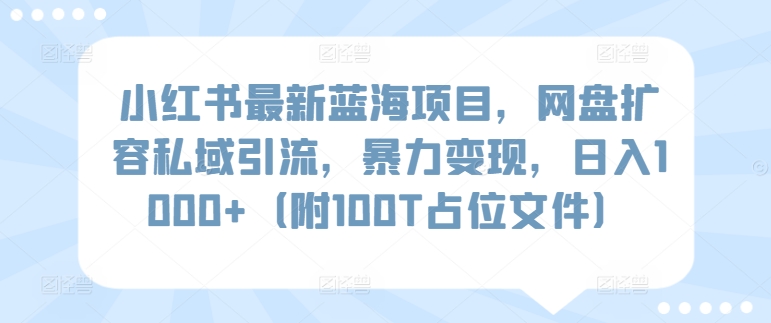 小红书最新蓝海项目，网盘扩容私域引流，暴力变现，日入1000+（附100T占位文件）-吾藏分享