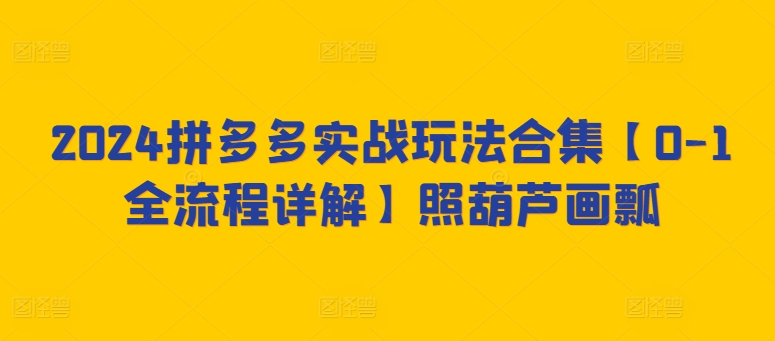 2024拼多多实战玩法合集【0-1全流程详解】照葫芦画瓢-吾藏分享