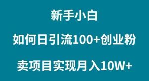 新手小白如何通过卖项目实现月入10W+-吾藏分享