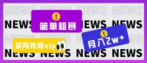 简单粗暴零成本，高回报，全网视频VIP掘金项目，月入2万＋-吾藏分享