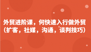 外贸进阶课，帮助你了解如何快速入行做外贸（扩客，社媒，沟通，谈判技巧）-吾藏分享