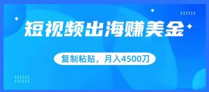 短视频出海赚美金，复制粘贴批量操作，小白轻松掌握，月入4500美刀-吾藏分享