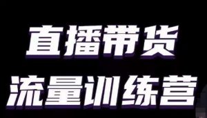 直播带货流量训练营，小白主播必学直播课-吾藏分享