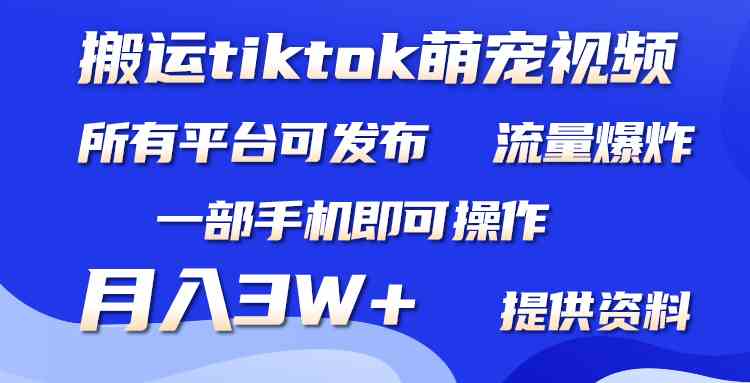 搬运Tiktok萌宠类视频，一部手机即可。所有短视频平台均可操作，月入3W+-吾藏分享