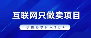 互联网的尽头就是卖项目，被割过韭菜的兄弟们必看！轻松月入三万以上！-吾藏分享