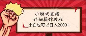 小游戏直播详细操作教程，小白也可以日入2000+-吾藏分享