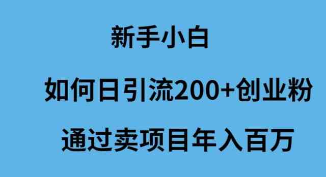 新手小白如何日引流200+创业粉通过卖项目年入百万-吾藏分享