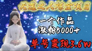 天选之人炼金项目，一个作品涨粉5000+，单号变现3.6w-吾藏分享