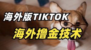 抖音海外版tiktok撸金技术，这个风口行业，赚钱真的不难-吾藏分享