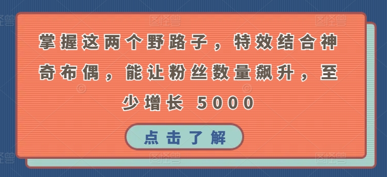 掌握这两个野路子，特效结合神奇布偶，能让粉丝数量飙升，至少增长 5000-吾藏分享