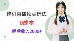 挂机直播顶尖玩法，睡后日收入2000+、0成本，视频教学-吾藏分享