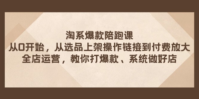 淘系爆款陪跑课 从选品上架操作链接到付费放大 全店运营 打爆款 系统做好店-吾藏分享