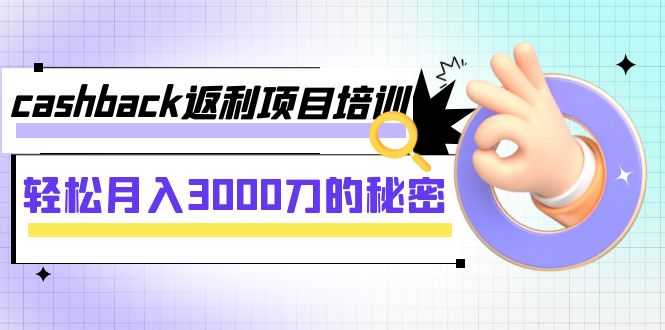 cashback返利项目培训：轻松月入3000刀的秘密（8节课）-吾藏分享