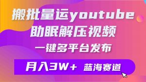 批量搬运YouTube解压助眠视频 一键多平台发布 月入2W+-吾藏分享