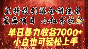 蓝海项目!黑科技引爆全网流量小红书拉新，单日暴力收益7000+，小白也能轻松上手-吾藏分享