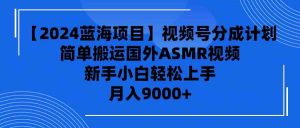 【2024蓝海项目】视频号分成计划，无脑搬运国外ASMR视频，新手小白轻松…-吾藏分享