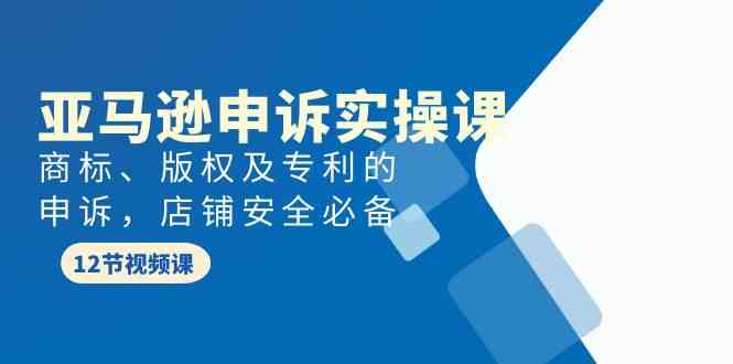 亚马逊-申诉实战课，​商标、版权及专利的申诉，店铺安全必备-吾藏分享