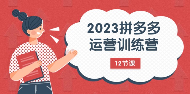 2023拼多多运营训练营：流量底层逻辑，免费+付费流量玩法（12节课）-吾藏分享