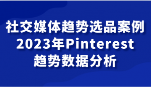 社交媒体趋势选品案例，2023年Pinterest趋势数据分析课-吾藏分享