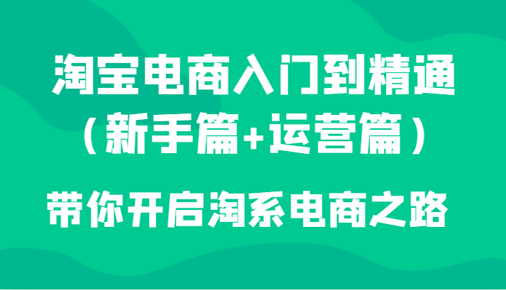 淘宝电商入门到精通（新手篇+运营篇）带你开启淘系电商之路-吾藏分享