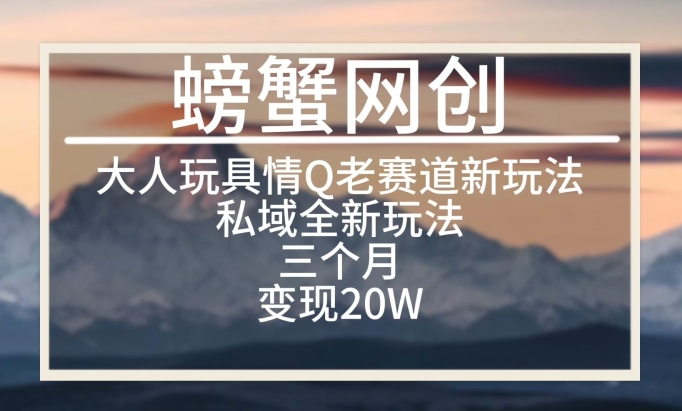 大人玩具情Q用品赛道私域全新玩法，三个月变现20W，老项目新思路-吾藏分享