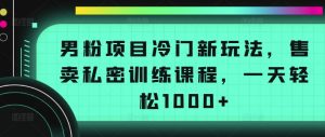 男粉项目冷门新玩法，售卖私密训练课程，一天轻松1000+-吾藏分享