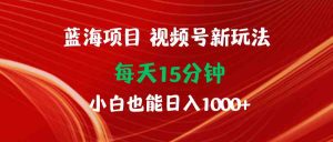 蓝海项目视频号新玩法 每天15分钟 小白也能日入1000+-吾藏分享