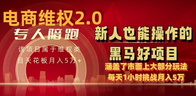 电商维权 4.0 如何做到月入 5 万+每天 1 小时新人也能快速上手【仅揭秘】-吾藏分享