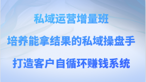 私域运营增量班 培养能拿结果的私域操盘手，打造客户自循环赚钱系统-吾藏分享