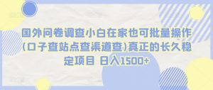 国外问卷调查小白在家也可批量操作(口子查站点查渠道查)真正的长久稳定项目 日入1500+-吾藏分享