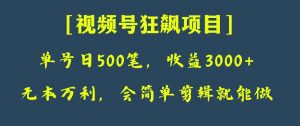 日收款500笔，纯利润3000+，视频号狂飙项目！-吾藏分享