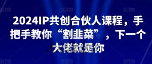 2024IP共创合伙人课程，手把手教你“割韭菜”，下一个大佬就是你-吾藏分享