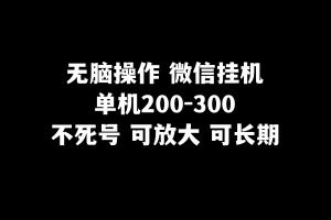 无脑操作微信挂机单机200-300一天，不死号，可放大-吾藏分享