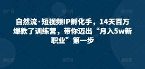 自然流·短视频IP孵化手，14天百万爆款了训练营，带你迈出“月入5w新职业”第一步-吾藏分享