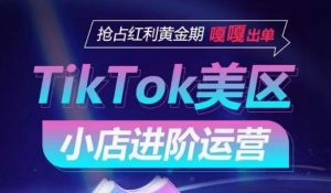 TikTok Shop美区小店进阶运营，抢占红利黄金期 嘎嘎出单-吾藏分享