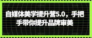 自媒体美学提升营5.0，手把手带你提升品牌审美-吾藏分享