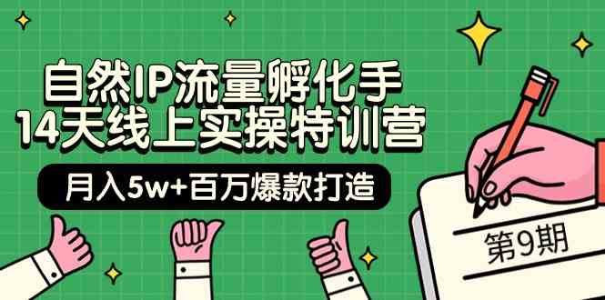 自然IP流量孵化手 14天线上实操特训营【第9期】月入5w+百万爆款打造 (74节)-吾藏分享