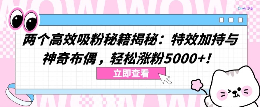 两个高效吸粉秘籍揭秘：特效加持与神奇布偶，轻松涨粉5000+-吾藏分享