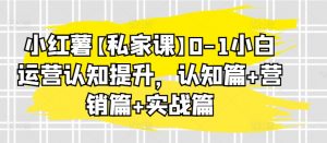 小红薯【私家课】0-1小白运营认知提升，认知篇+营销篇+实战篇-吾藏分享