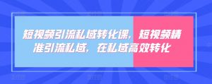 短视频引流私域转化课，短视频精准引流私域，在私域高效转化-吾藏分享