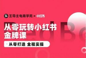 王导主·小红书电商运营实操课，​从零打造  全程实操-吾藏分享