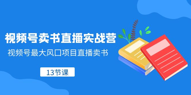 视频号卖书直播实战营，视频号最大风囗项目直播卖书（13节课）-吾藏分享