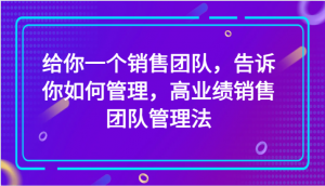 给你一个销售团队，告诉你如何管理，高业绩销售团队管理法（89节课）-吾藏分享